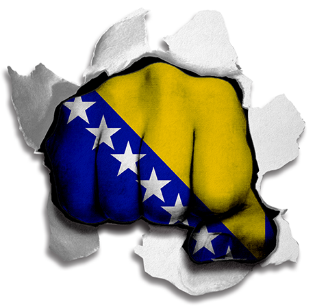 Fist Bosnia And Herzegovina Flag Logo iron on paper